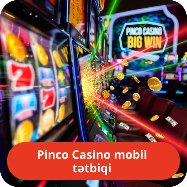 Pinco Casino mobil tətbiqi