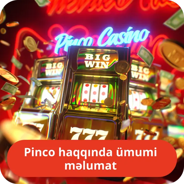 Pinco haqqında ümumi məlumat