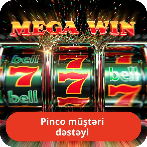 Pinco müştəri dəstəyi